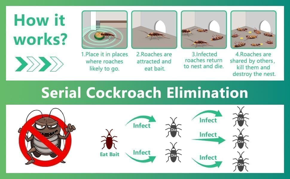 Cockroach Killer Powder Gel (Pack of 24pc)